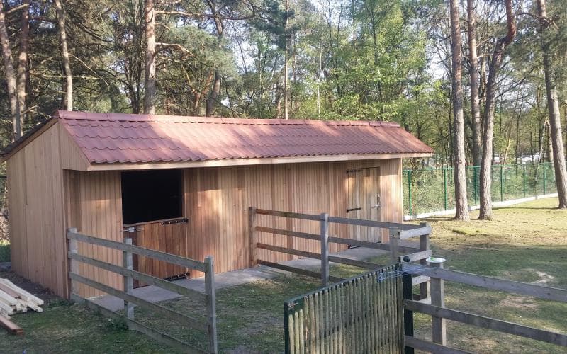 Zonhoven — beeld 3