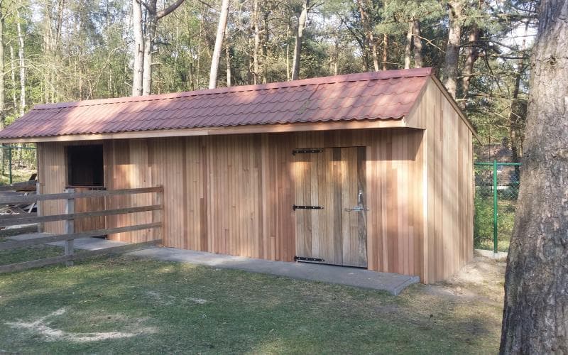 Zonhoven — beeld 4