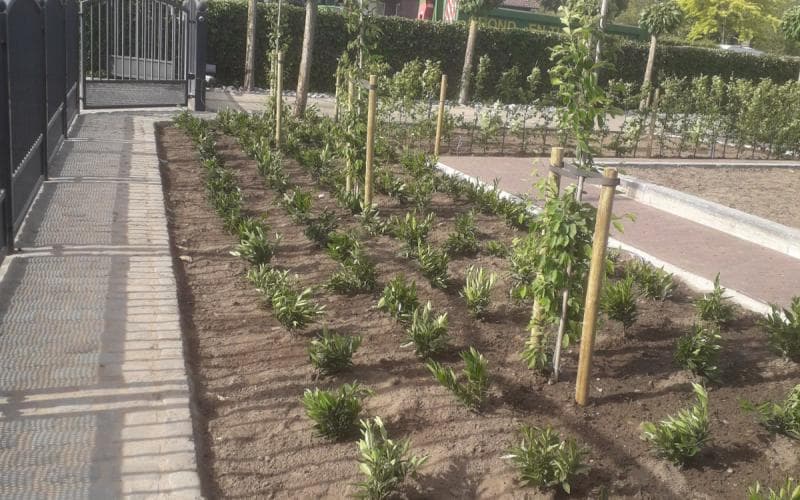 Opglabbeek — beeld 11