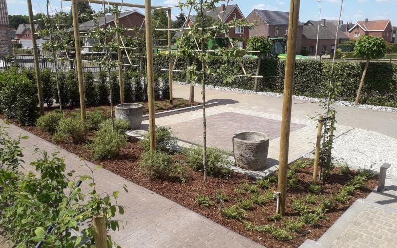 Opglabbeek — beeld 14