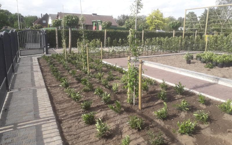 Opglabbeek — beeld 18