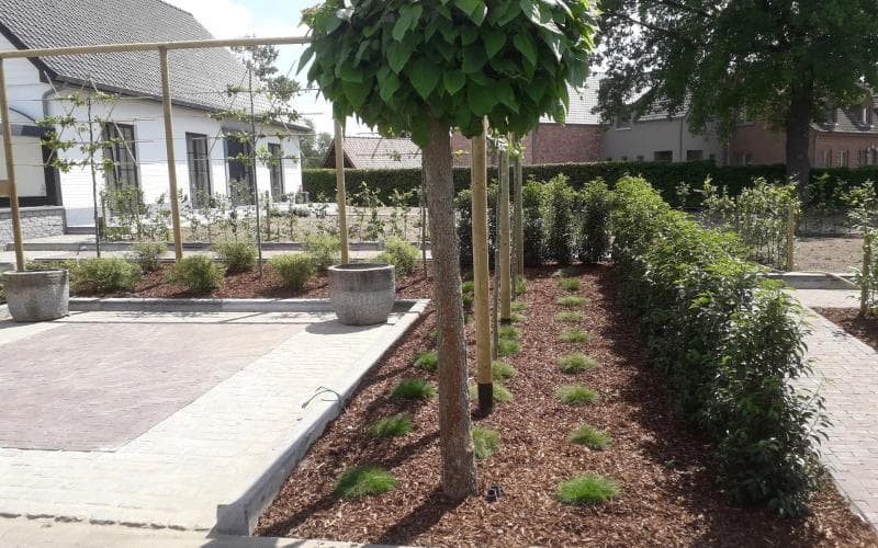 Opglabbeek — beeld 19