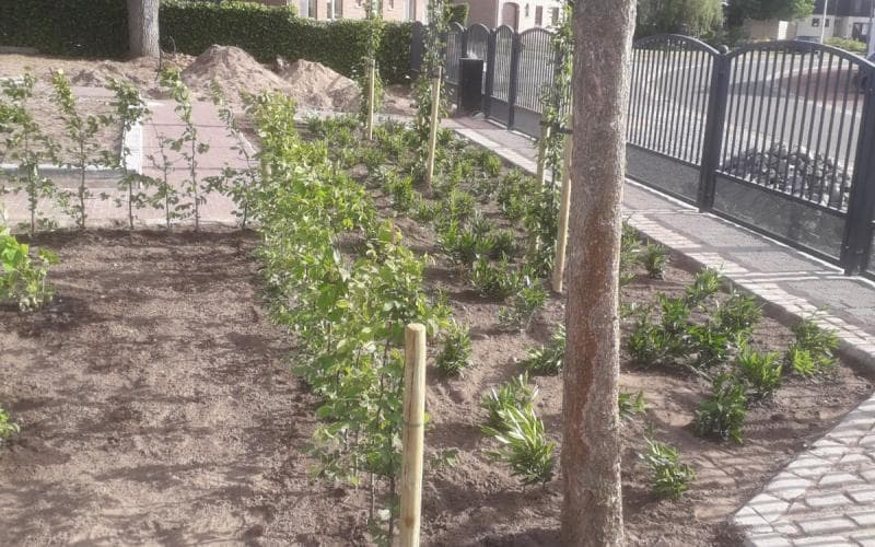 Opglabbeek — beeld 8