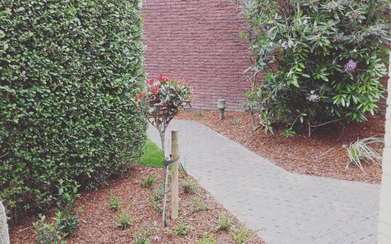 Hasselt — beeld 4