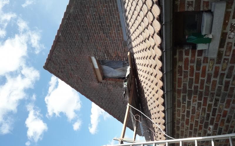 Maaseik — beeld 5